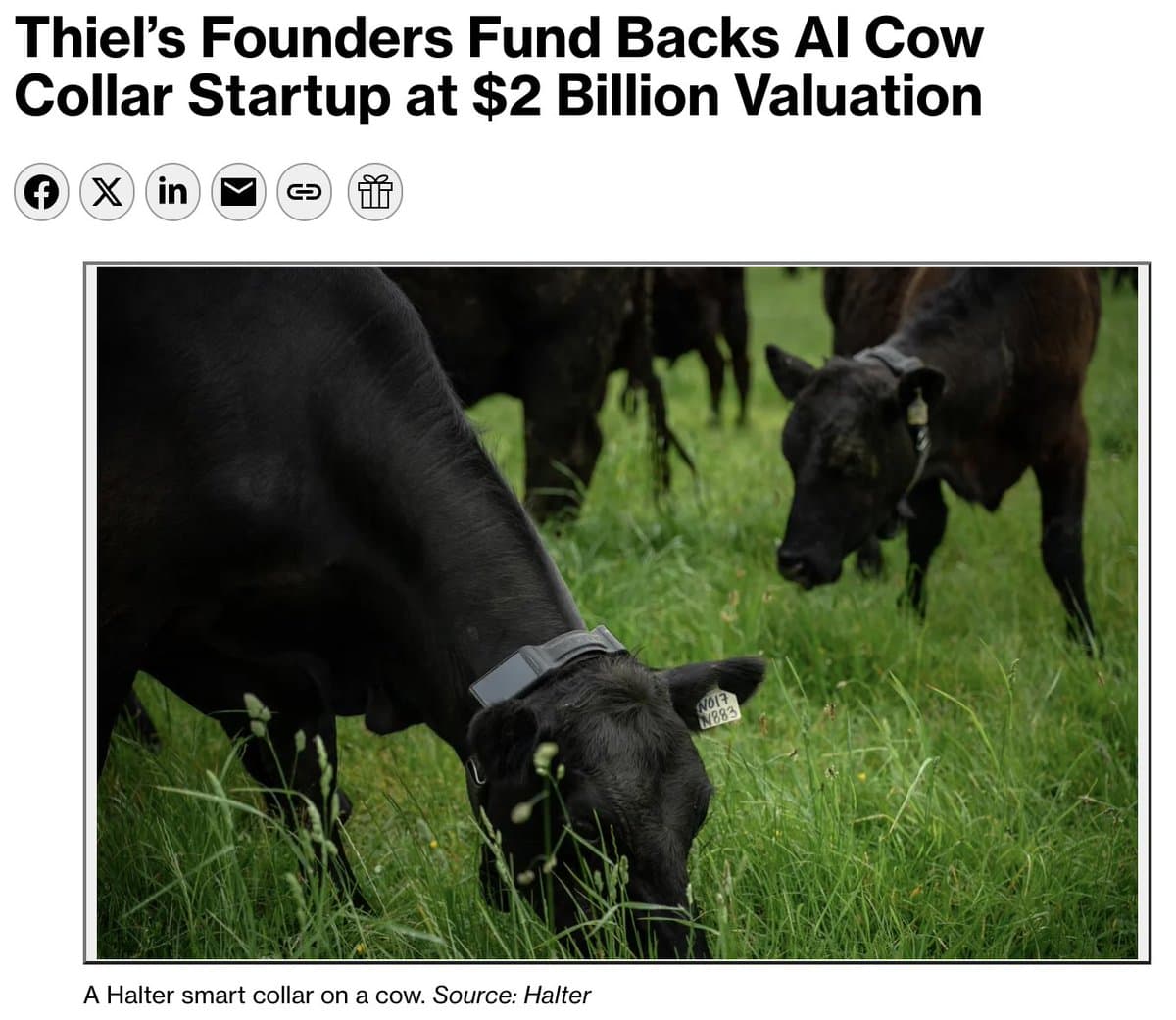 Halter's Solar-Powered Cattle Collars Hit $2B Valuation, Using AI to Replace Physical Fences